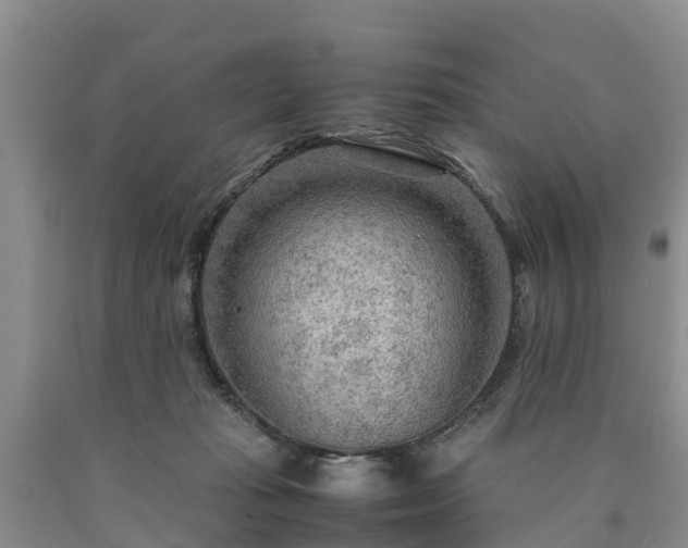 X0000090620269200707241136