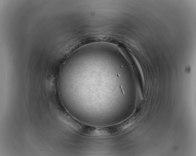 X0000090620270200707241136