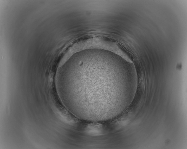 X0000090620271200707241136