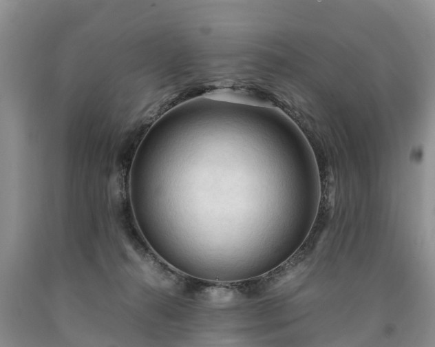 X0000090620272200707241136