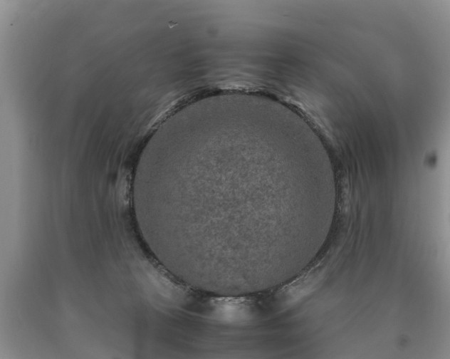 X0000090620273200707241136