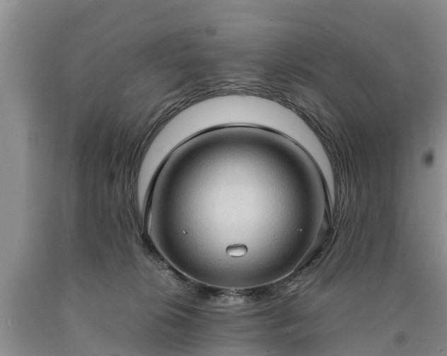 X0000090620276200707241136