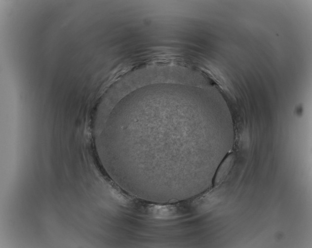 X0000090620277200707241136