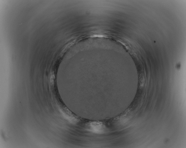 X0000090620279200707241136