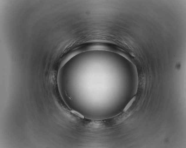 X0000090620280200707241136