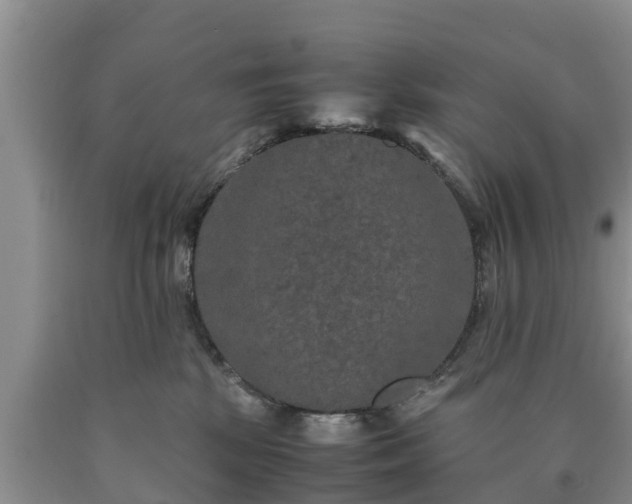 X0000090620281200707241136