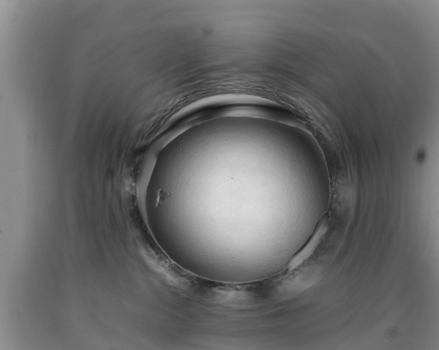 X0000090620284200707241136