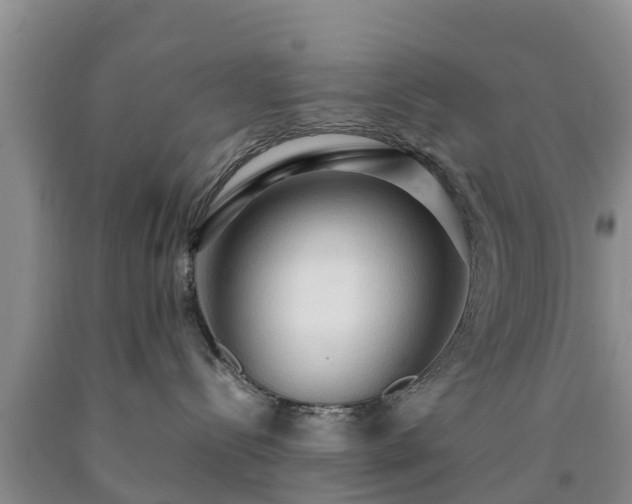 X0000090620288200707241136