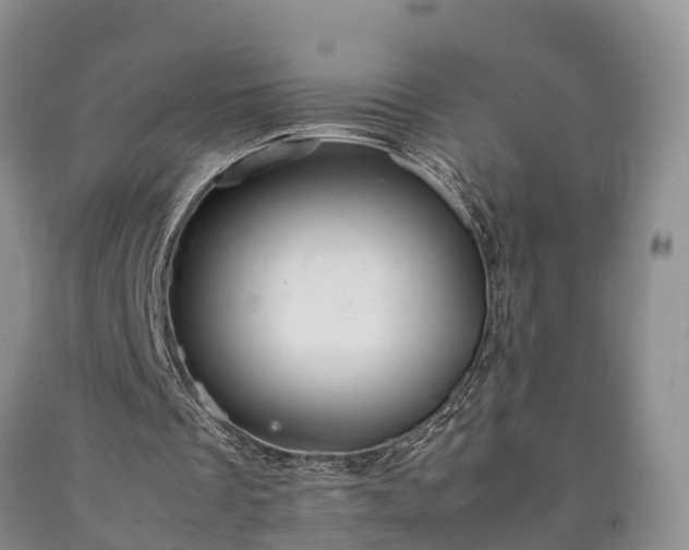 X0000090620289200707241136