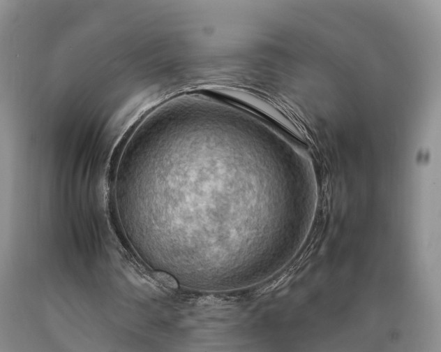 X0000090620290200707241136