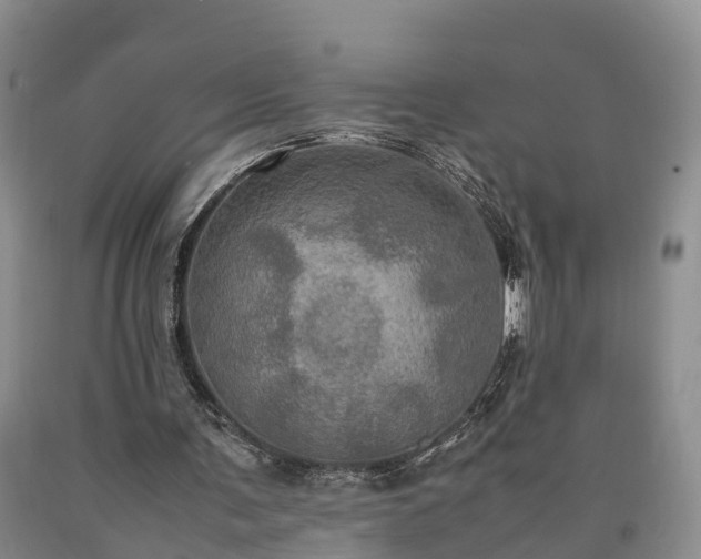 X0000090620291200707241136