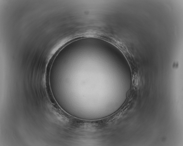 X0000090620292200707241136