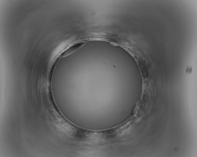 X0000090620293200707241136