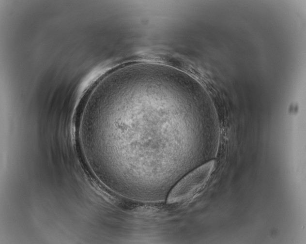 X0000090620294200707241136