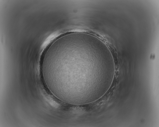 X0000090620296200707241135