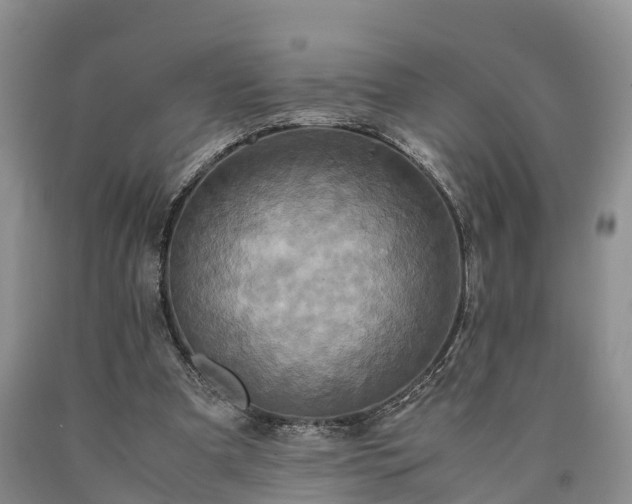 X0000090620297200707241135