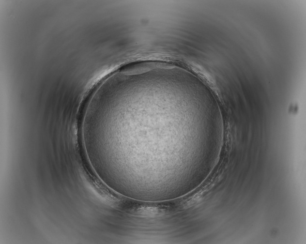 X0000090620298200707241135