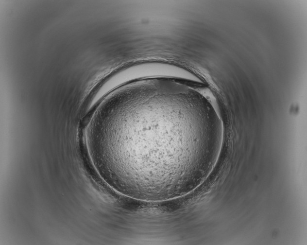 X0000090620299200707241135