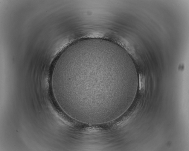 X0000090620300200707241135