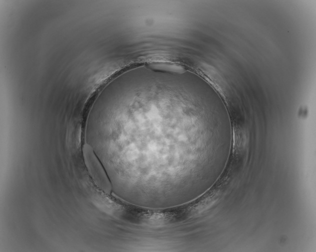 X0000090620301200707241135