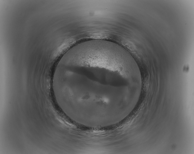 X0000090620303200707241135