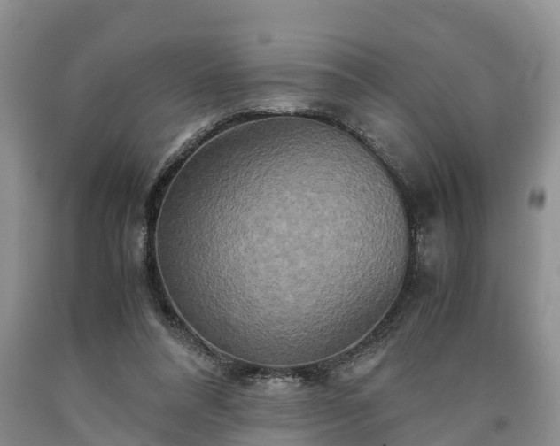 X0000090620304200707241135