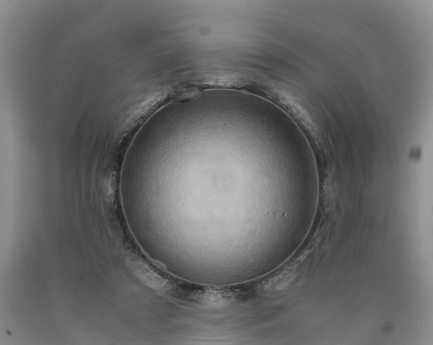 X0000090620305200707241135