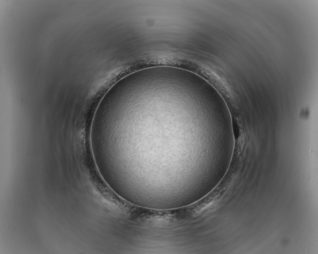 X0000090620306200707241135