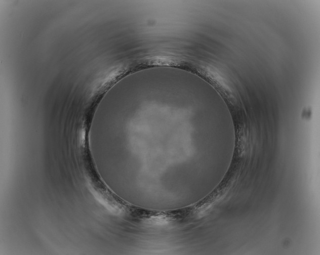 X0000090620310200707241135