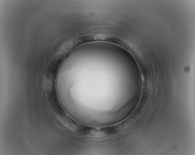 X0000090620311200707241135