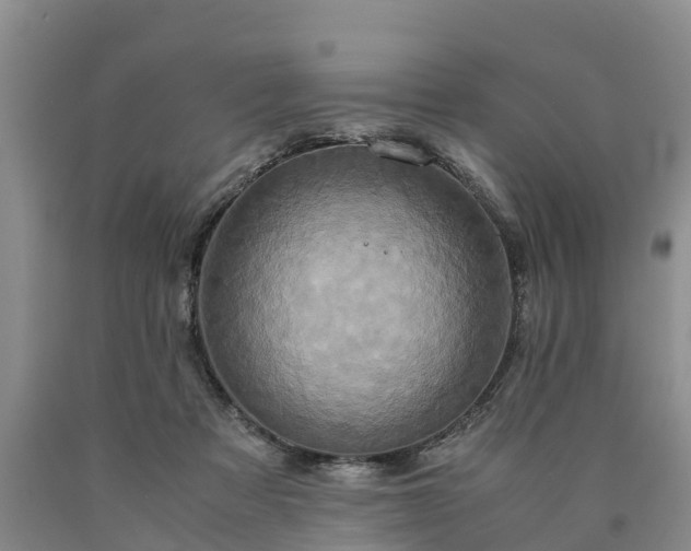 X0000090620313200707241135