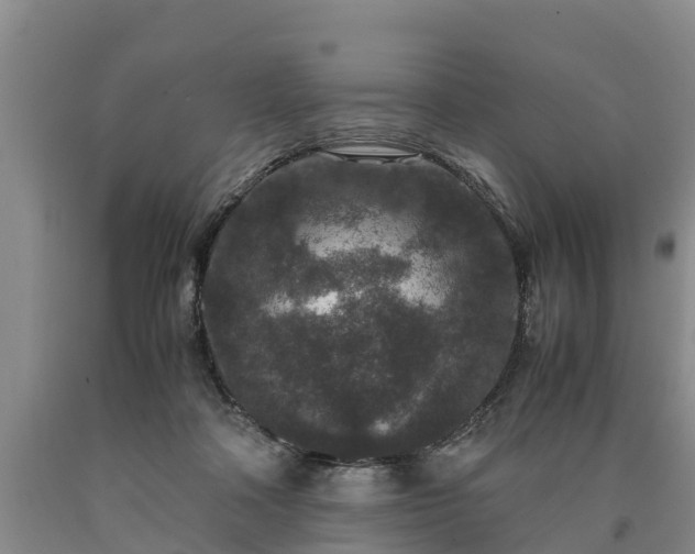 X0000090620314200707241135