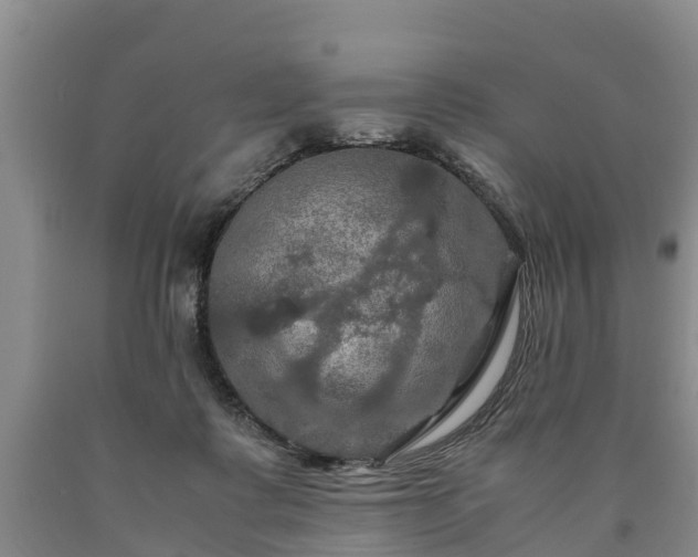 X0000090620315200707241135