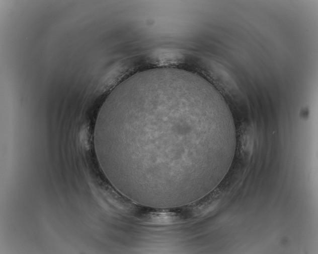 X0000090620316200707241135