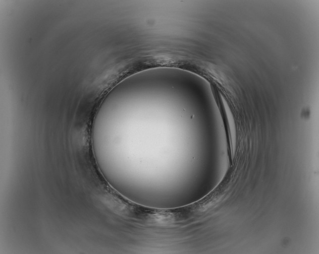 X0000090620317200707241135