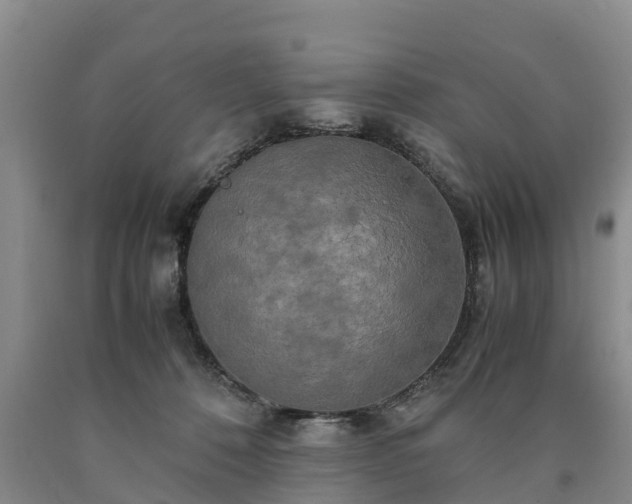 X0000090620320200707241135