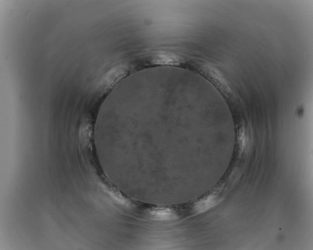 X0000090620322200707241135