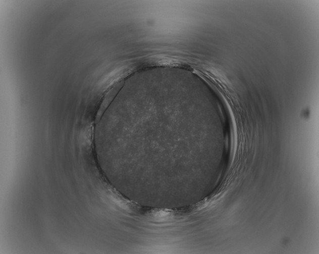 X0000090620325200707241135
