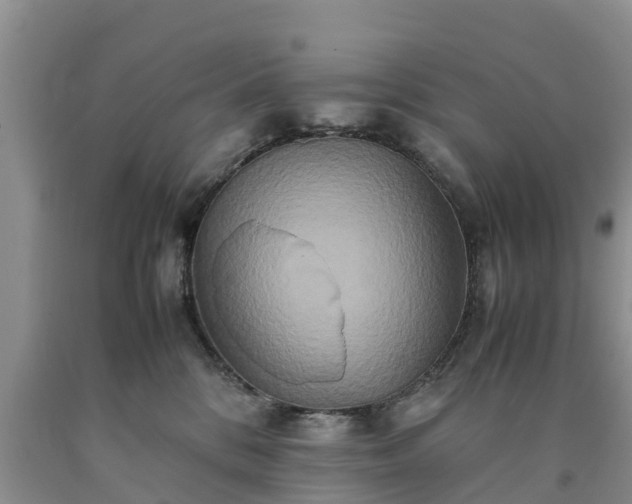 X0000090620328200707241135