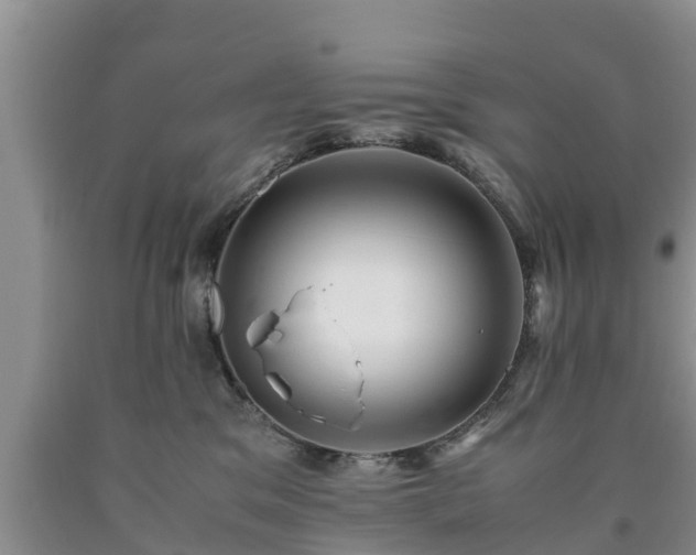 X0000090620329200707241135