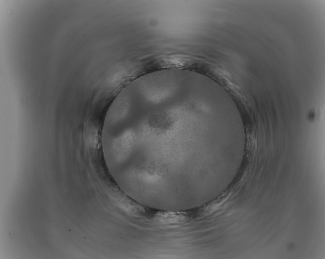 X0000090620331200707241135