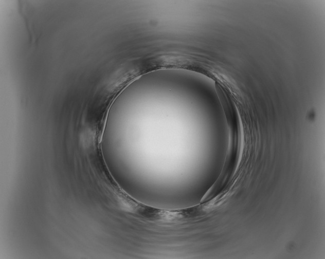 X0000090620333200707241135