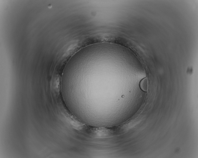 X0000090620336200707241135
