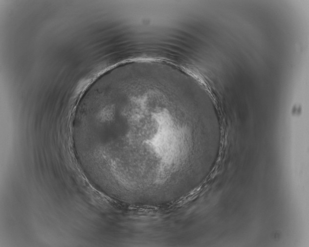 X0000090620337200707241134