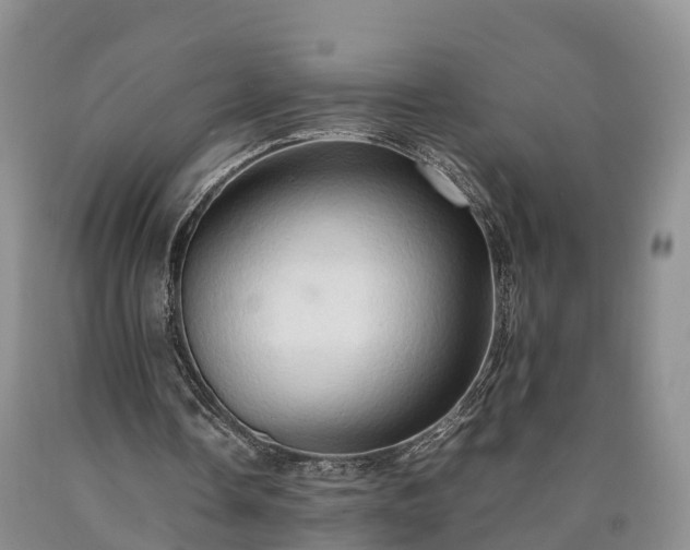 X0000090620338200707241134
