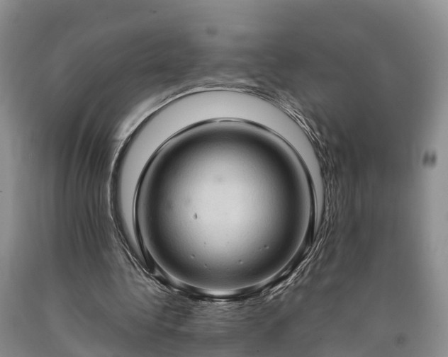 X0000090620340200707241134