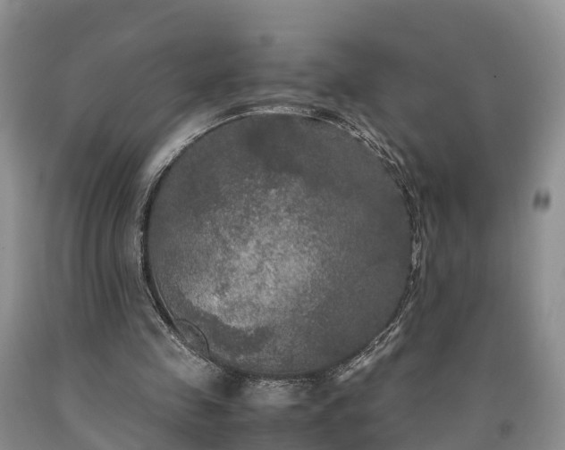 X0000090620341200707241134