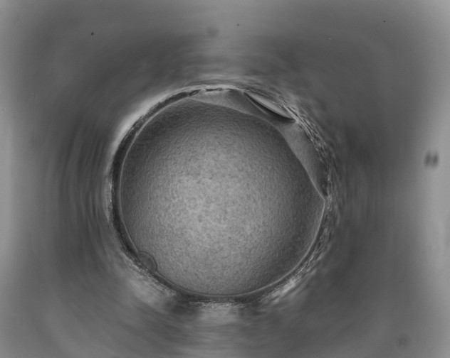X0000090620342200707241134