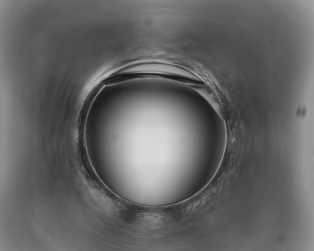 X0000090620344200707241134