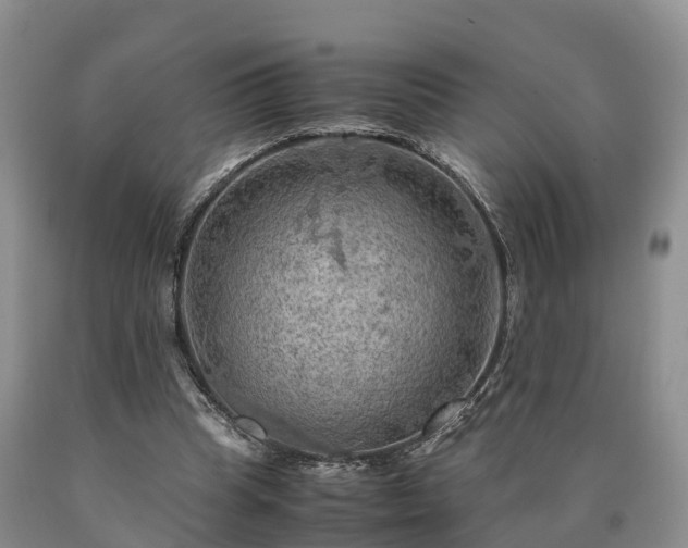 X0000090620345200707241134